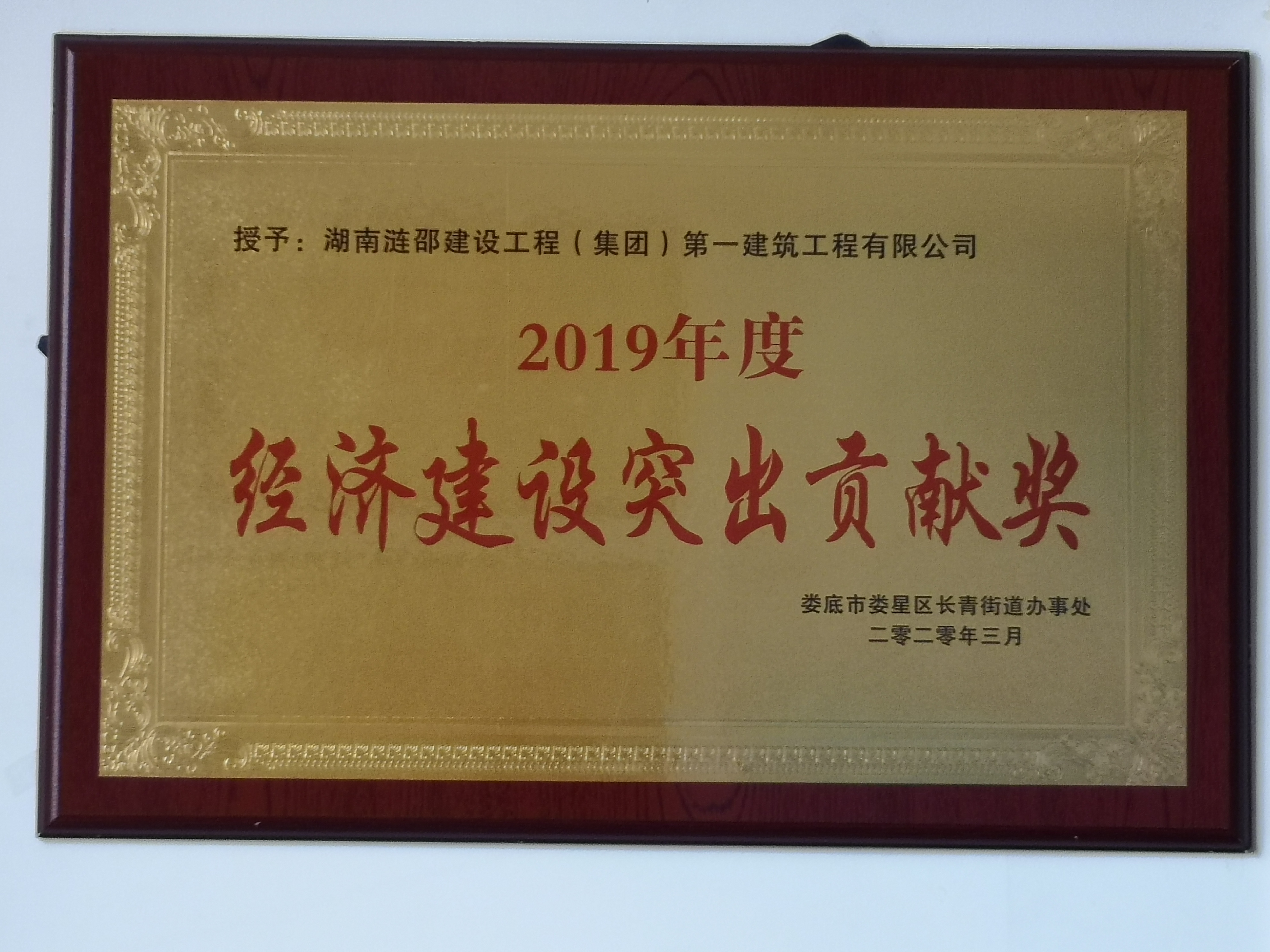 2019經(jīng)濟(jì)建設(shè)突出貢獻(xiàn)獎(jiǎng).jpg